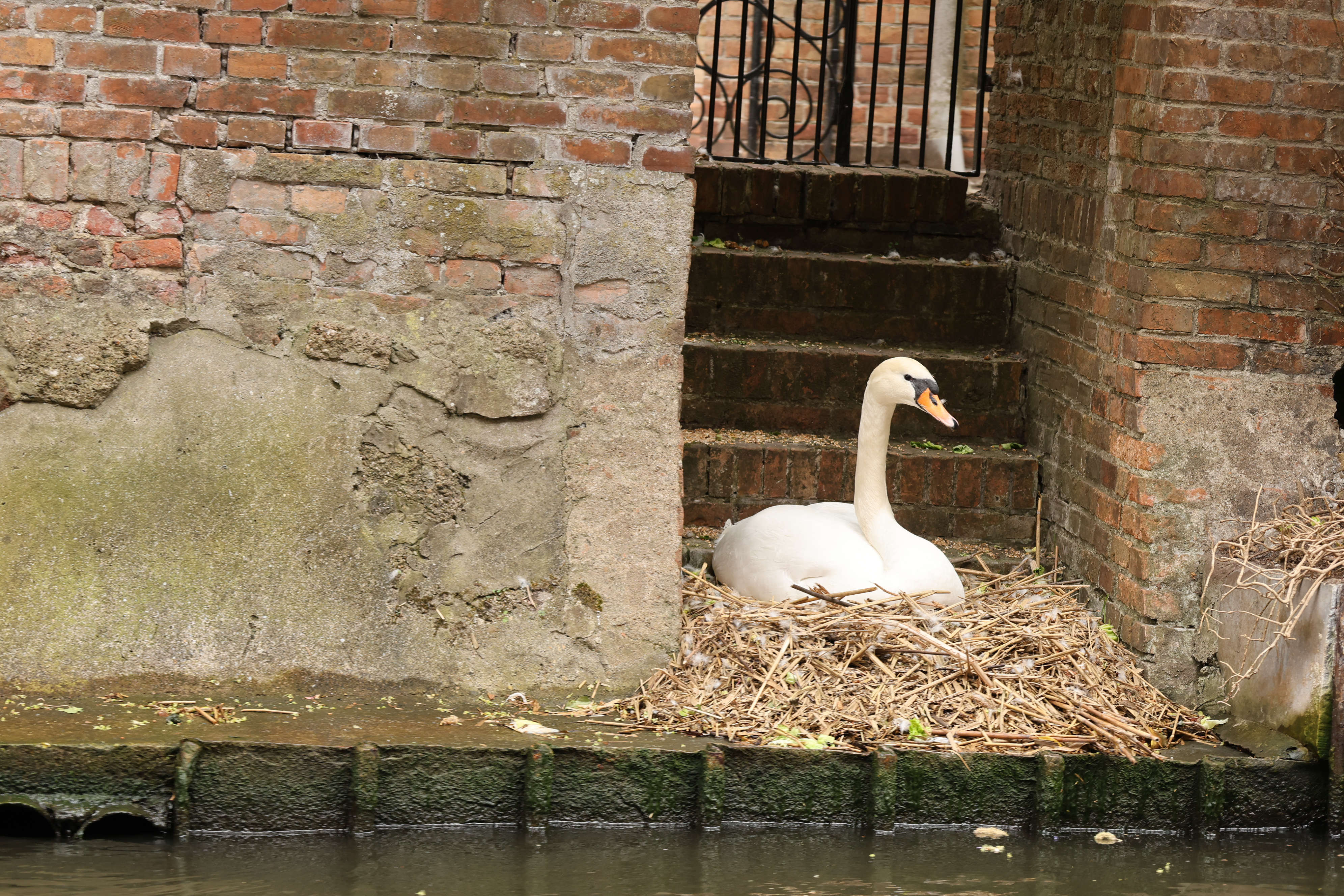 Brugge